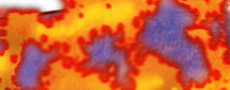 Trò Chơi Của Thần Chapter 5 trang 227