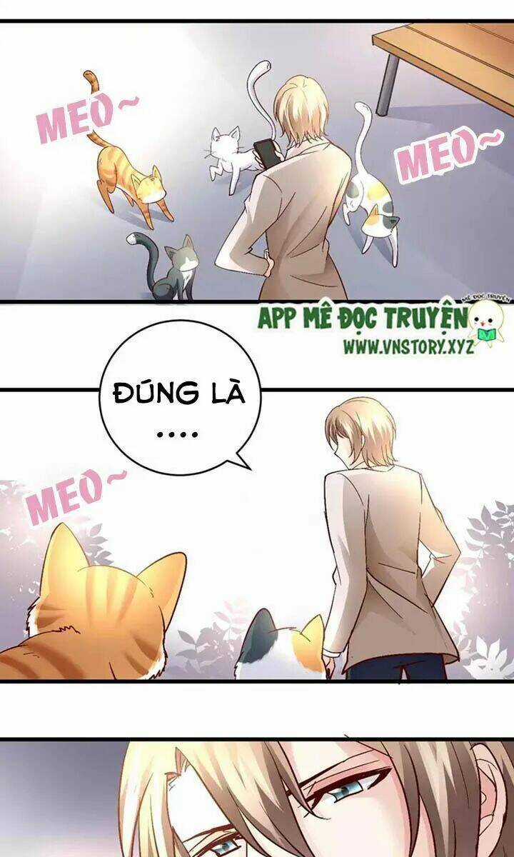 Trò Chơi Săn Tình – Tổng Tài Khó Kìm Lòng Chapter 48 trang 5