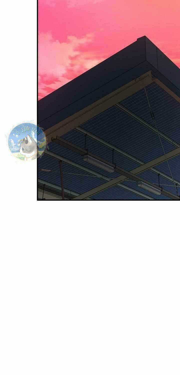 Trở Lại Ngày Tận Thế Chapter 122 trang 37