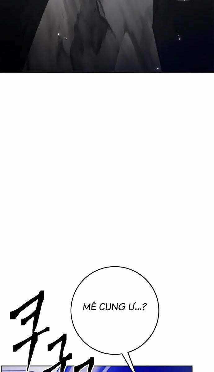 Trở Lại Thành Người Chơi Chapter 118 trang 17