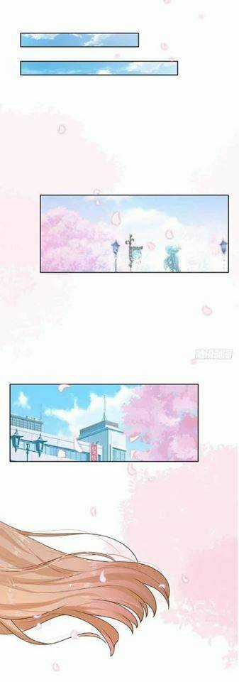 Trở Lại Tuổi 18: Nam Thần Trốn Chỗ Nào Chapter 2 trang 14