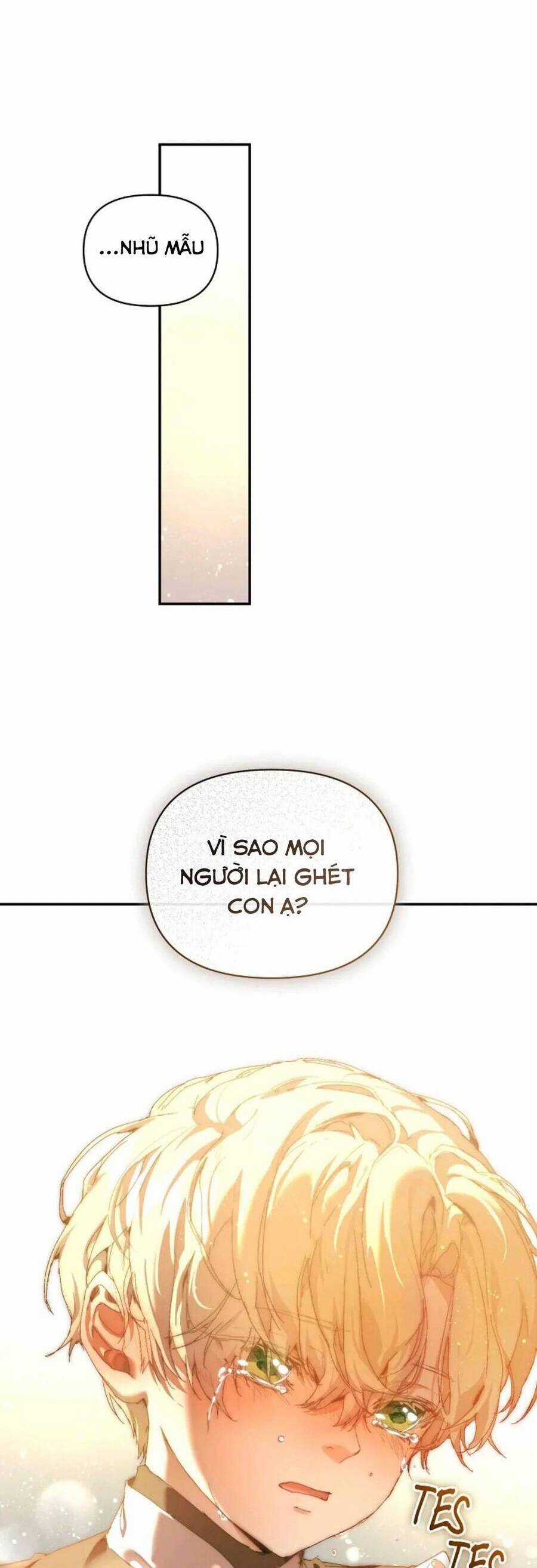 Trở Thành Bảo Mẫu Mắc Bệnh Nan Y Của Nam Chính Hắc Ám Chapter 25 trang 28