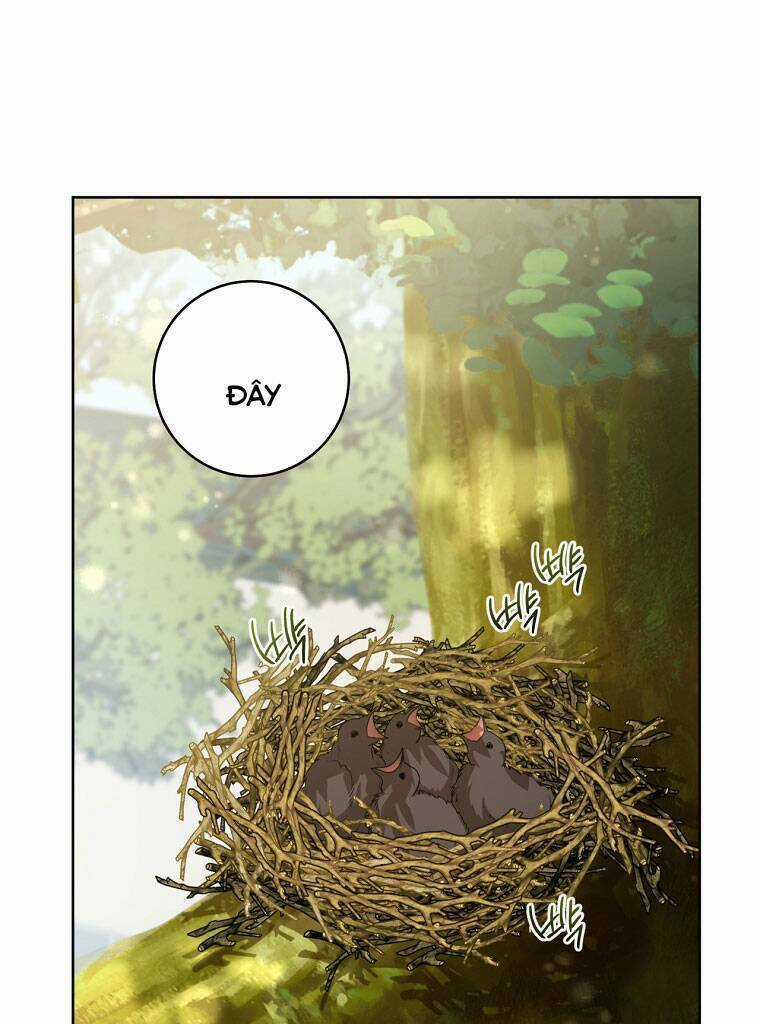 Trở Thành Cô Cháu Gái Bị Khinh Miệt Của Gia Tộc Võ Lâm Chương 18 trang 25