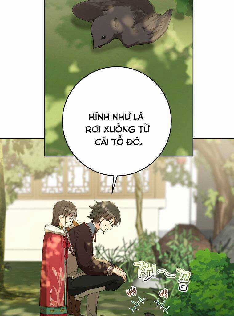 Trở Thành Cô Cháu Gái Bị Khinh Miệt Của Gia Tộc Võ Lâm Chương 18 trang 34