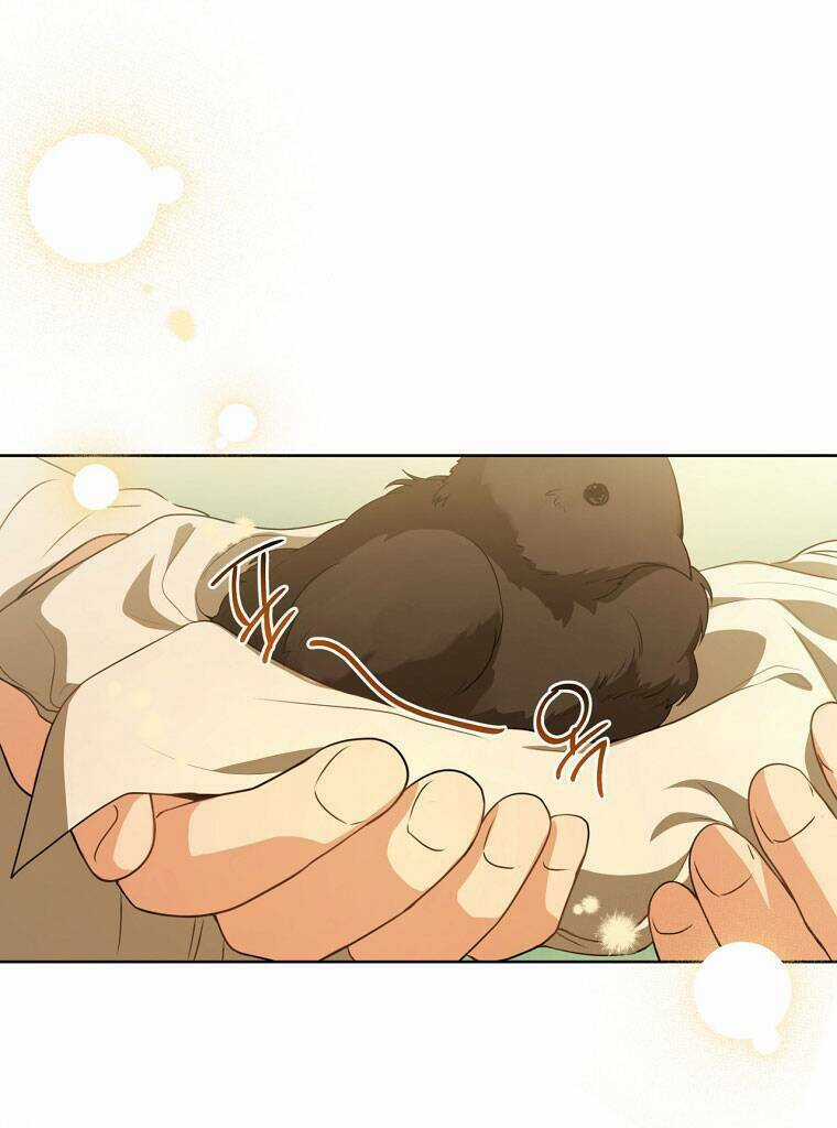 Trở Thành Cô Cháu Gái Bị Khinh Miệt Của Gia Tộc Võ Lâm Chương 18 trang 37