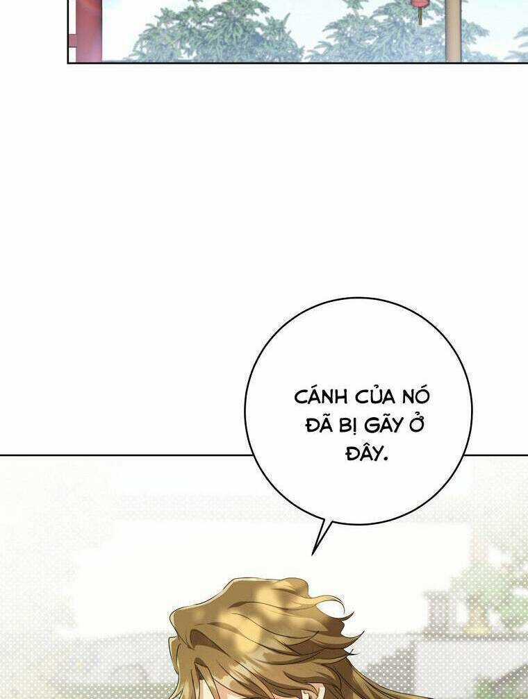 Trở Thành Cô Cháu Gái Bị Khinh Miệt Của Gia Tộc Võ Lâm Chương 18 trang 54