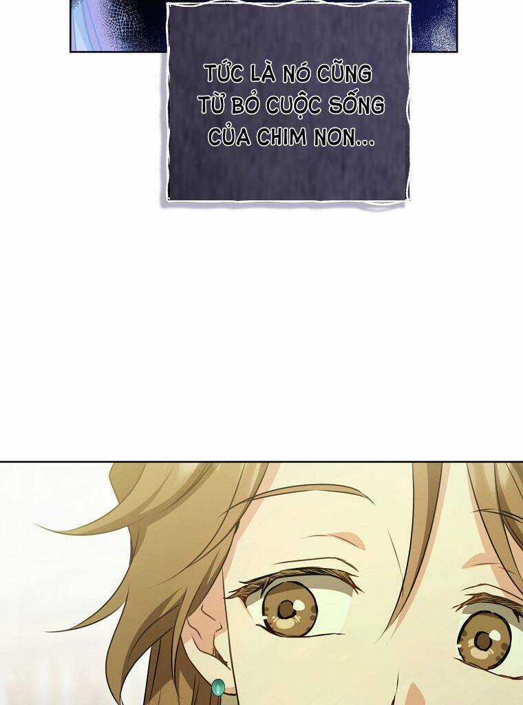 Trở Thành Cô Cháu Gái Bị Khinh Miệt Của Gia Tộc Võ Lâm Chương 18 trang 62