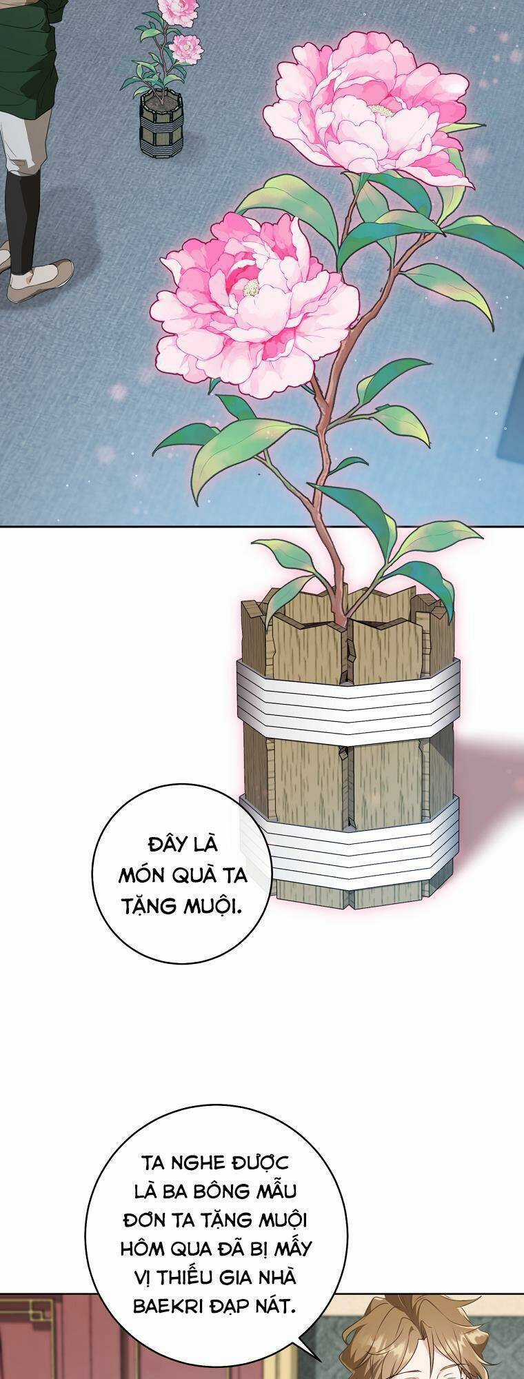 Trở Thành Cô Cháu Gái Bị Khinh Miệt Của Gia Tộc Võ Lâm Chương 25 trang 23