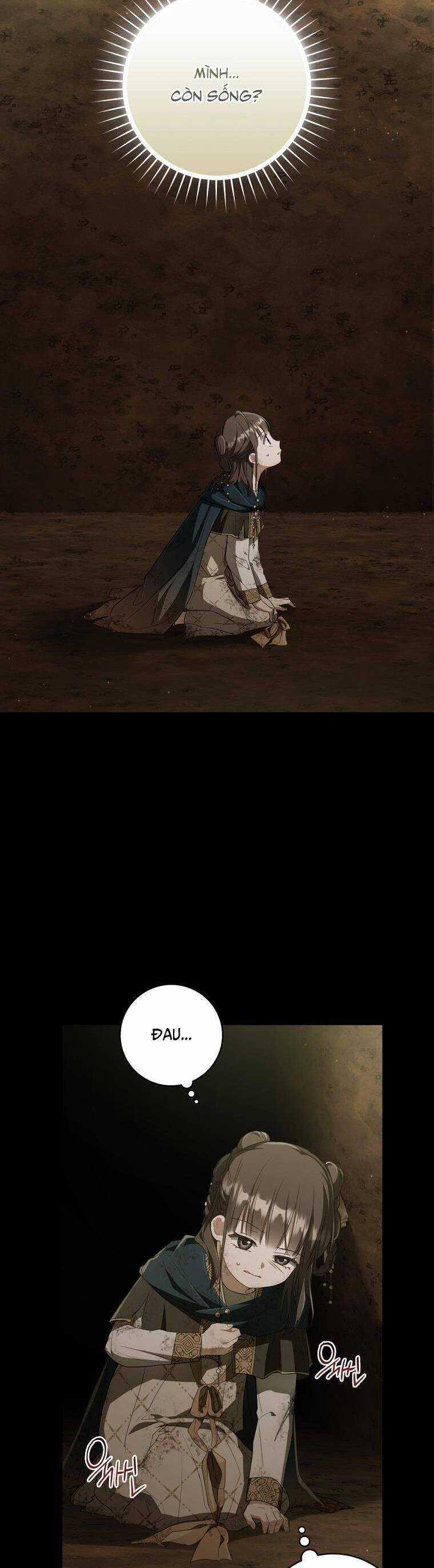 Trở Thành Cô Cháu Gái Bị Khinh Miệt Của Gia Tộc Võ Lâm Chương 37 trang 14