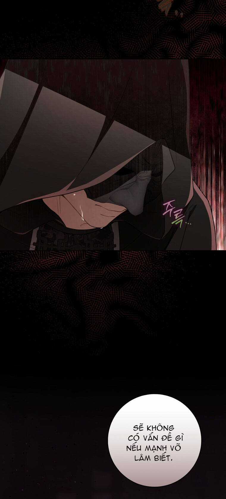 Trở Thành Cô Cháu Gái Bị Khinh Miệt Của Gia Tộc Võ Lâm Chương 55.1 trang 20