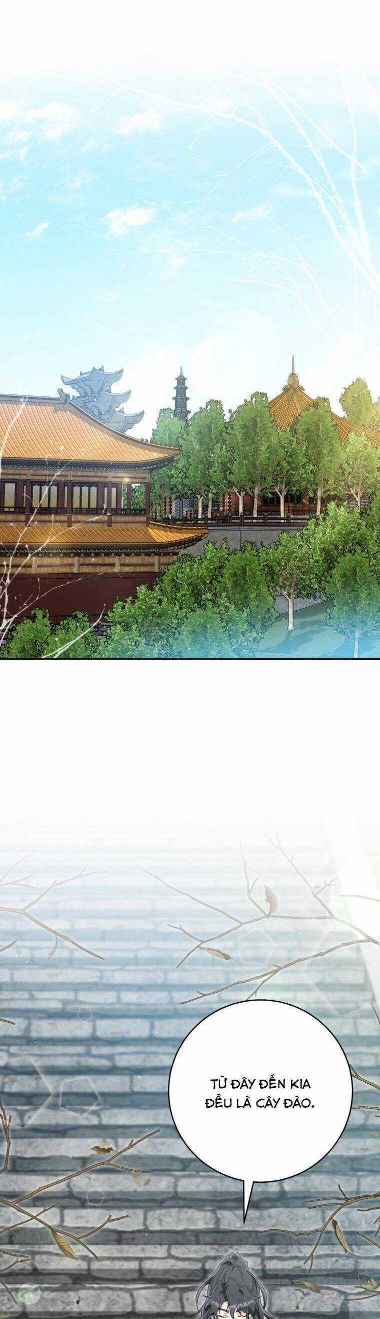 Trở Thành Cô Cháu Gái Bị Khinh Miệt Của Gia Tộc Võ Lâm Chương 80 trang 12