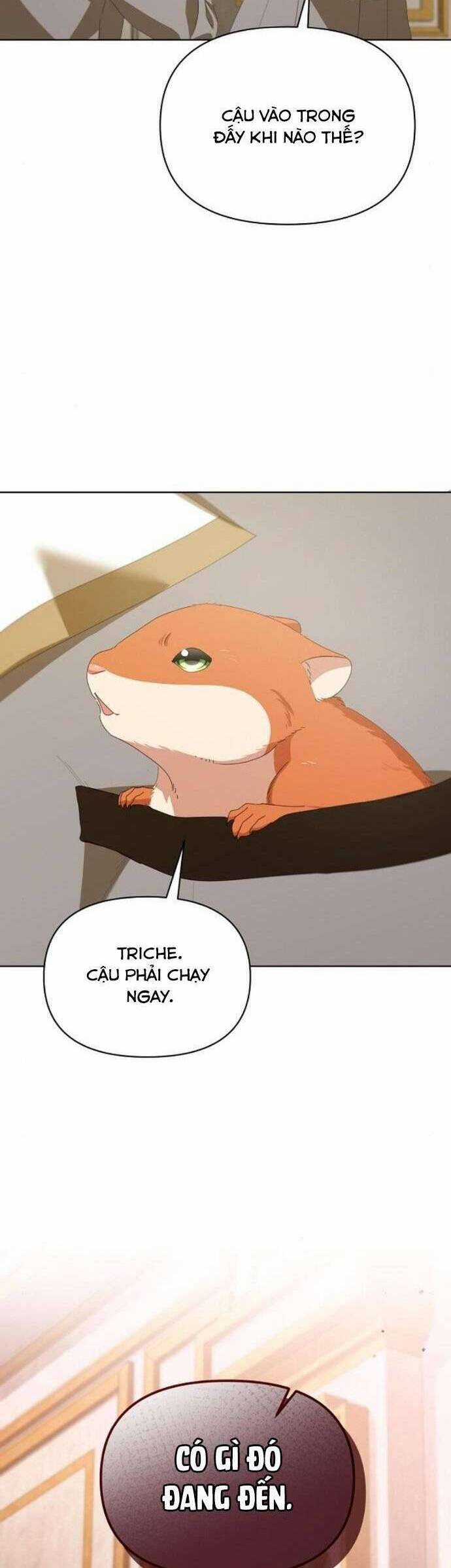 Trở Thành Con Gái Nuôi Của Gia Tộc Sát Thủ Chương 41 trang 9