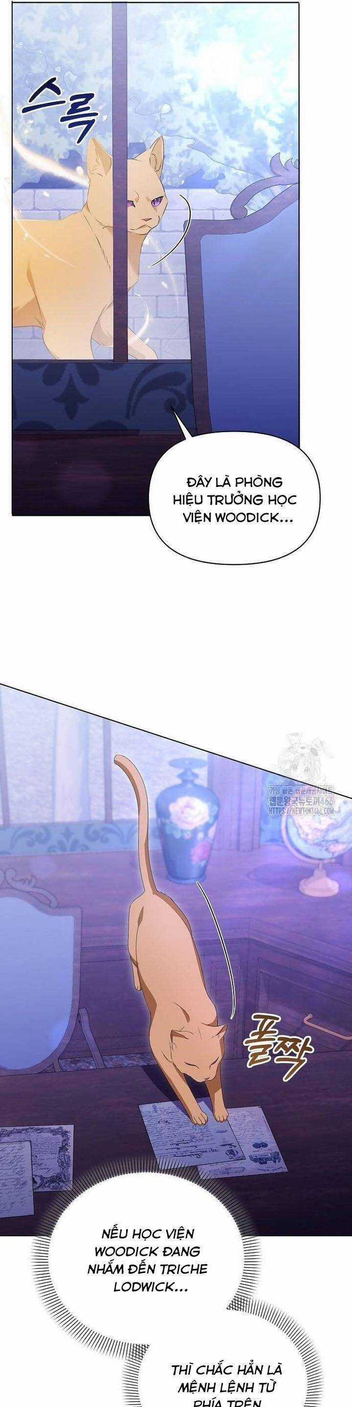 Trở Thành Con Gái Nuôi Của Gia Tộc Sát Thủ Chương 56 trang 50