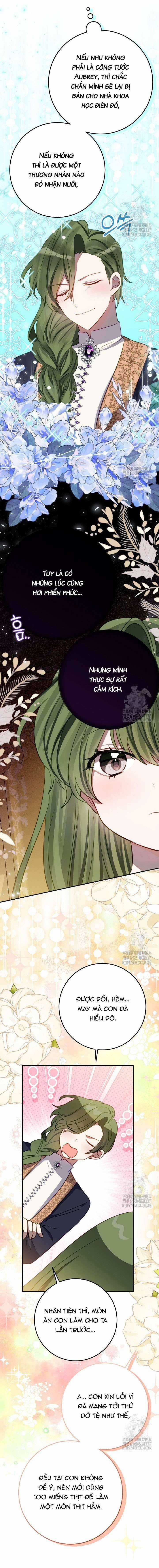 Trở Thành Con Gái Nuôi Của Một Gia Đình Sắp Bị Phá Hủy Gói kỳ nghỉ gia đình Chapter 22 trang 12