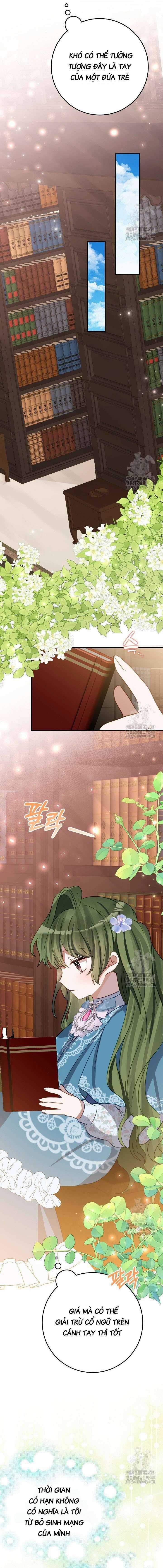 Trở Thành Con Gái Nuôi Của Một Gia Đình Sắp Bị Phá Hủy Gói kỳ nghỉ gia đình Chapter 24 trang 8