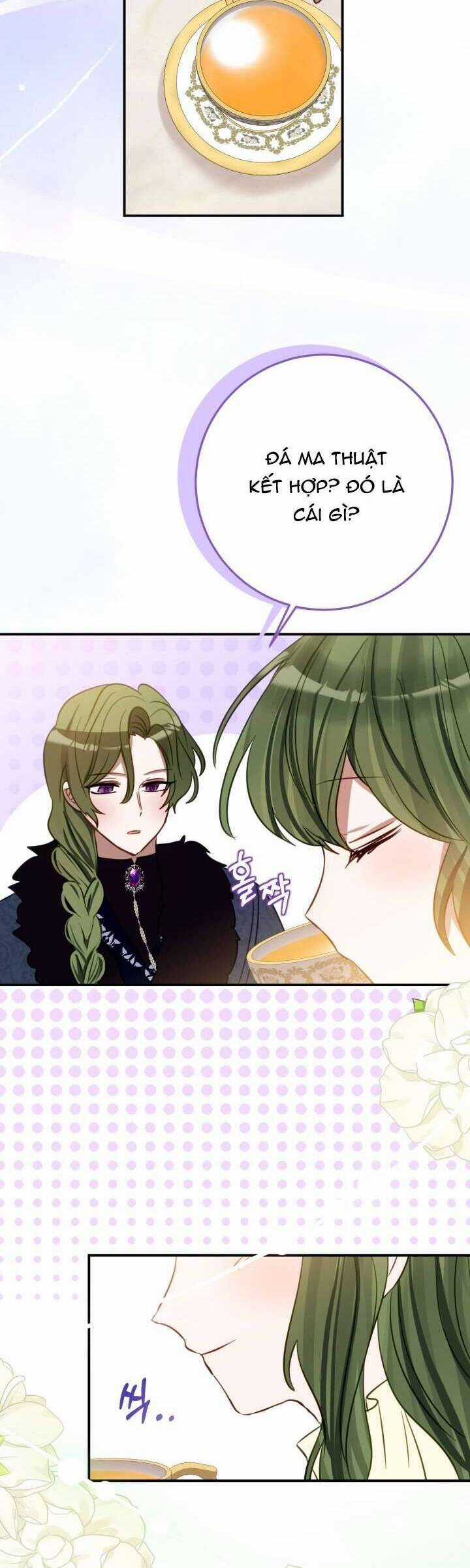 Trở Thành Con Gái Nuôi Của Một Gia Đình Sắp Bị Phá Hủy Chương 10 trang 20