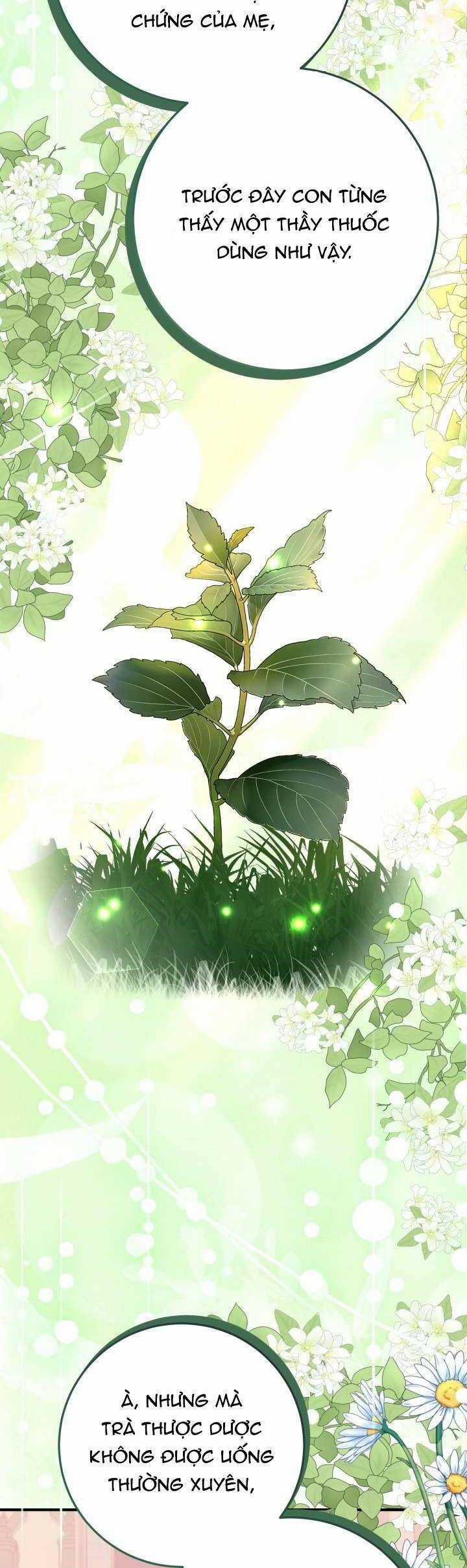 Trở Thành Con Gái Nuôi Của Một Gia Đình Sắp Bị Phá Hủy Chương 11 trang 10