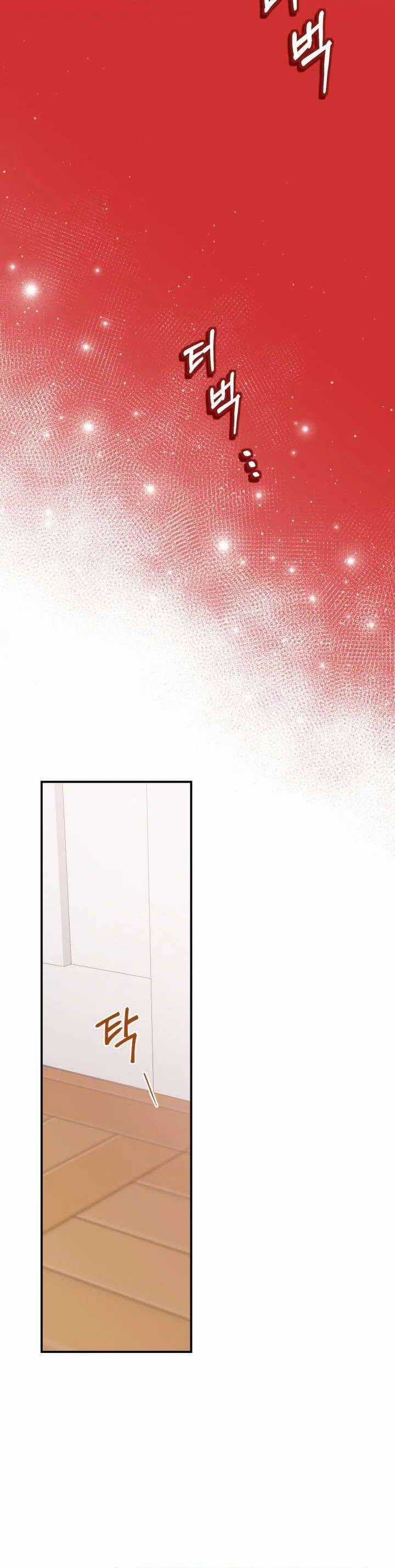 Trở Thành Con Gái Nuôi Của Một Gia Đình Sắp Bị Phá Hủy Chương 13 trang 13