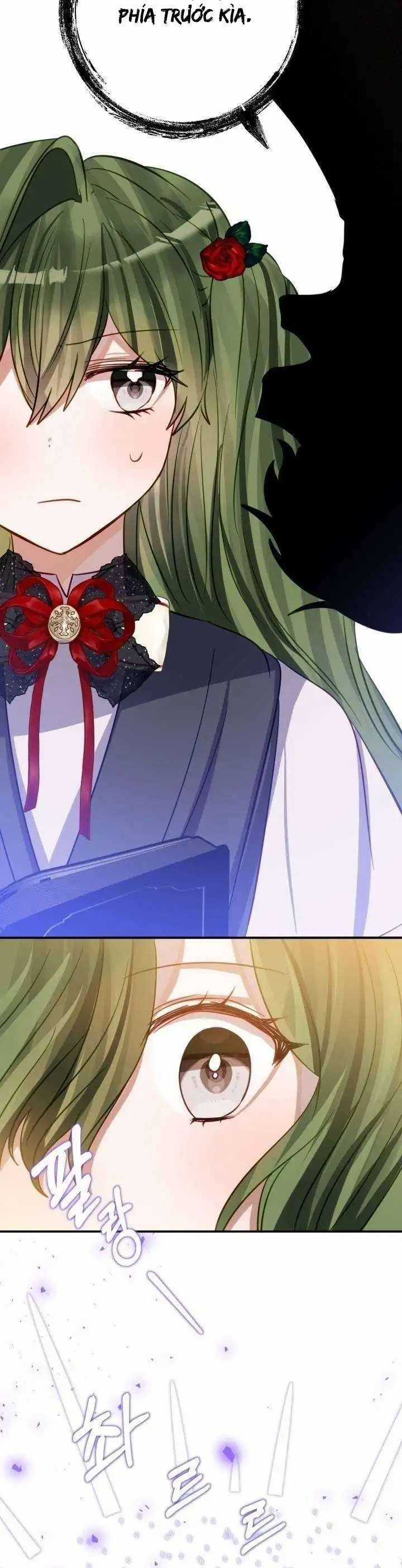 Trở Thành Con Gái Nuôi Của Một Gia Đình Sắp Bị Phá Hủy Chương 15 trang 31