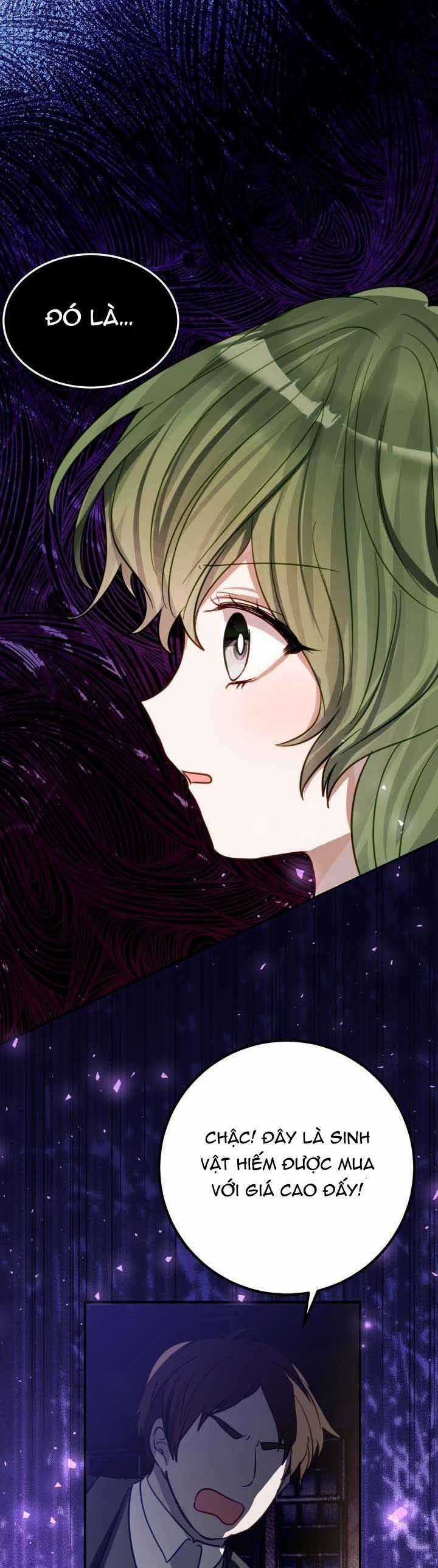 Trở Thành Con Gái Nuôi Của Một Gia Đình Sắp Bị Phá Hủy Chương 17 trang 34