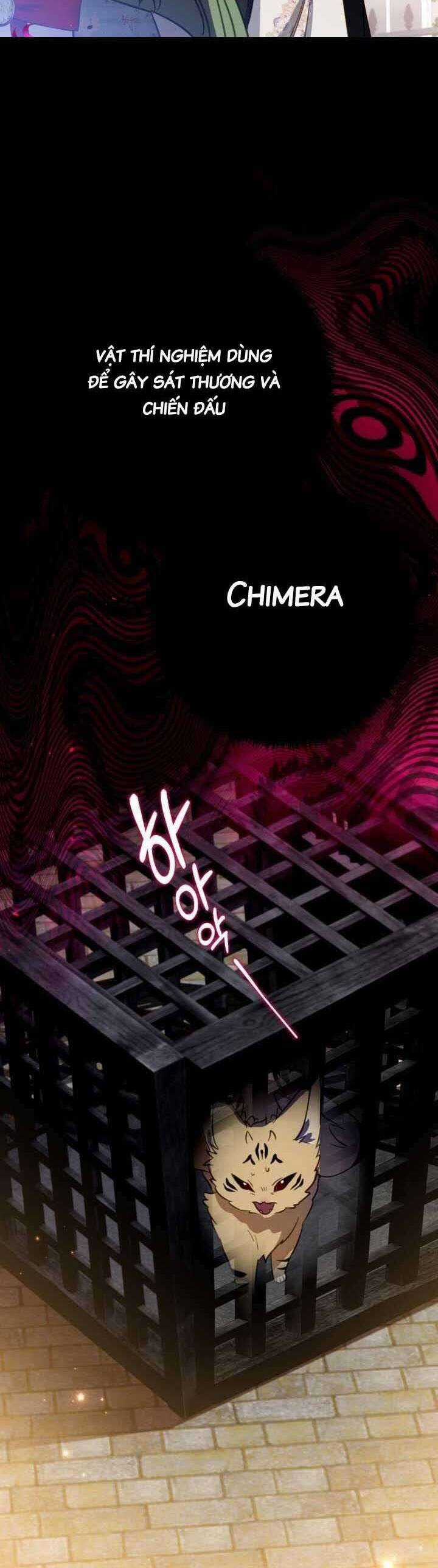 Trở Thành Con Gái Nuôi Của Một Gia Đình Sắp Bị Phá Hủy Chương 17 trang 36