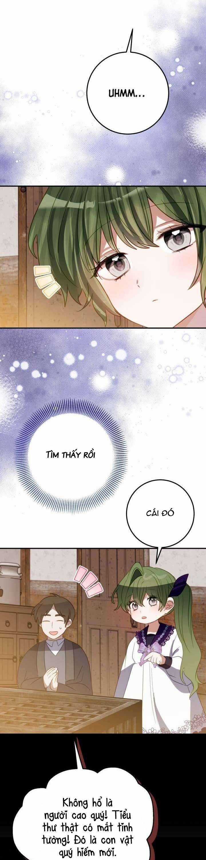 Trở Thành Con Gái Nuôi Của Một Gia Đình Sắp Bị Phá Hủy Chương 20 trang 24