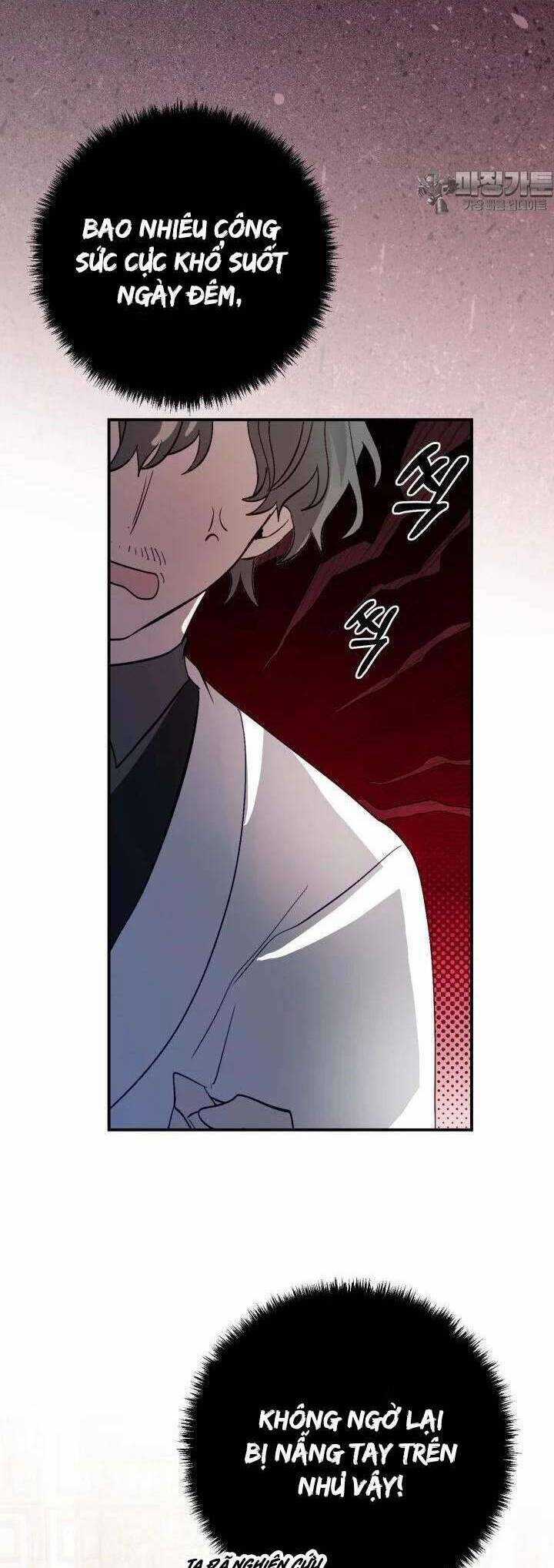 Trở Thành Con Gái Nuôi Của Một Gia Đình Sắp Bị Phá Hủy Chương 34 trang 19