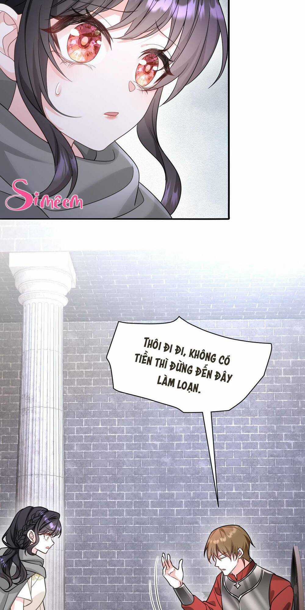 Trở Thành Đoàn Sủng Về Sau, Ta Đại Sát Tứ Phương Chapter 13 trang 41