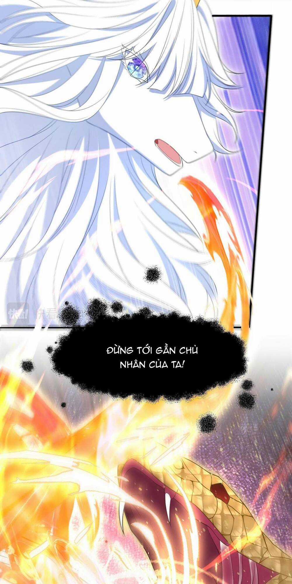 Trở Thành Đoàn Sủng Về Sau, Ta Đại Sát Tứ Phương Chapter 2 trang 21