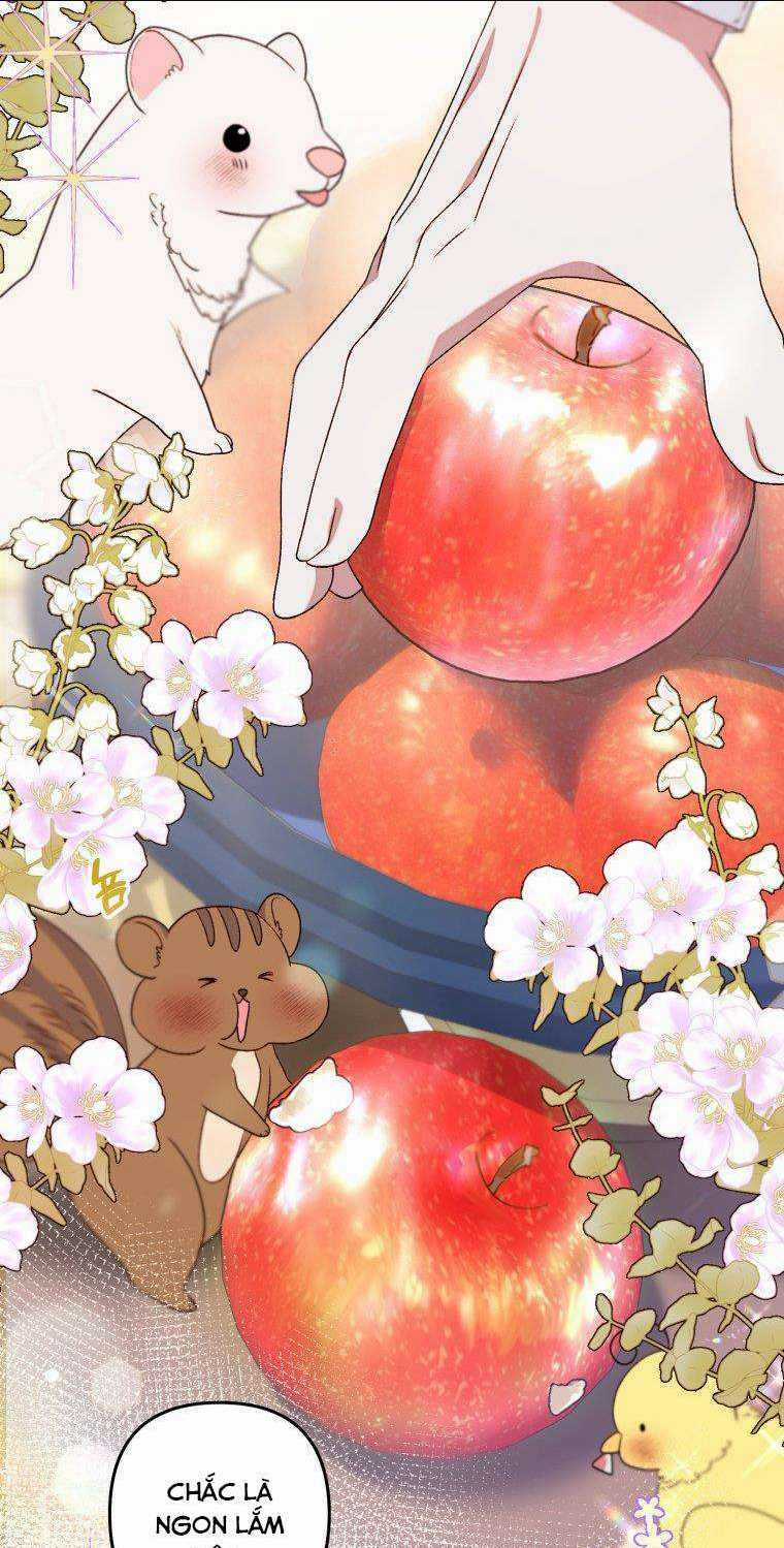 Trở Thành Hầu Nữ Còn Quan Trọng Hơn Là Làm Công Chúa Chapter 4 trang 45