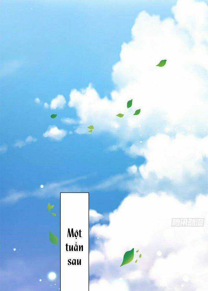 Trở Thành Lão Đại Từ Việc Tiêu Tiền Chapter 25 trang 15