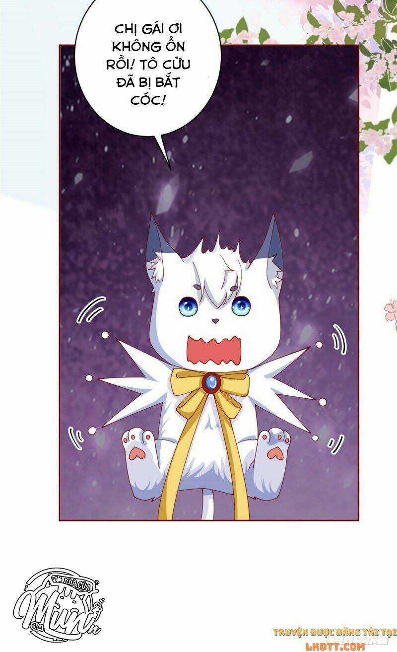 Trở Thành Lão Đại Từ Việc Tiêu Tiền Chapter 26 trang 16