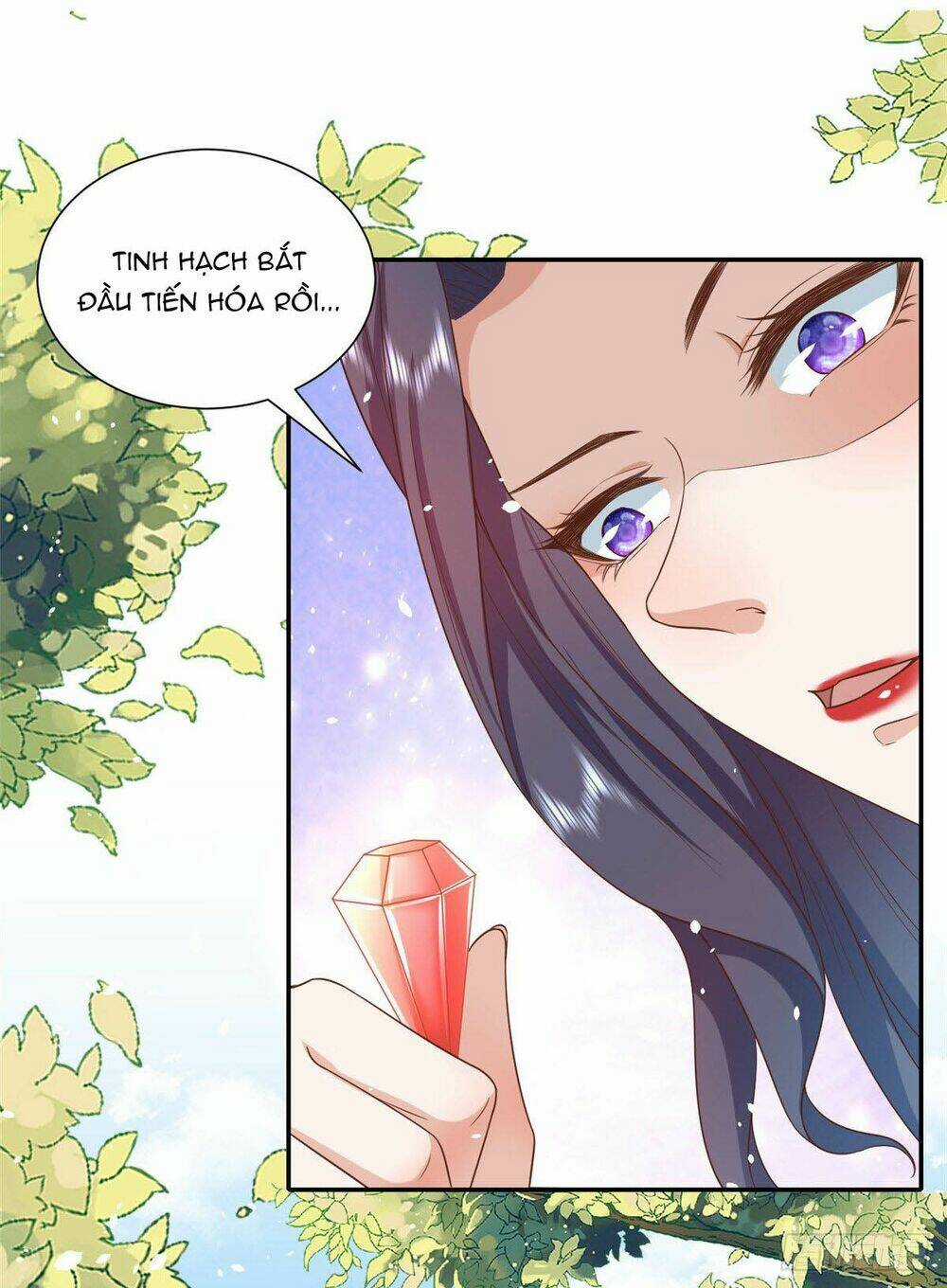 Trở Thành Lão Đại Từ Việc Tiêu Tiền Chapter 44 trang 17