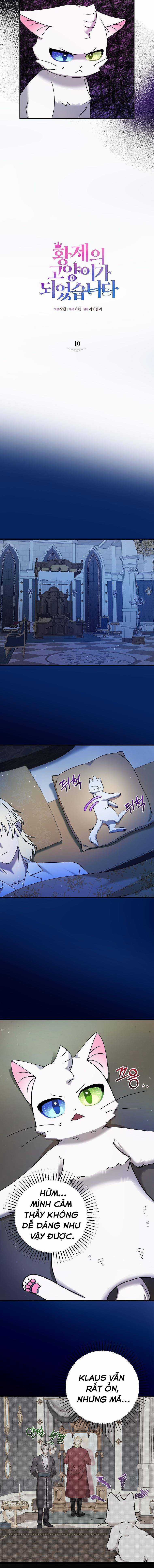 Trở Thành Miêu Nữ Của Hoàng Đế Chapter 10 trang 8