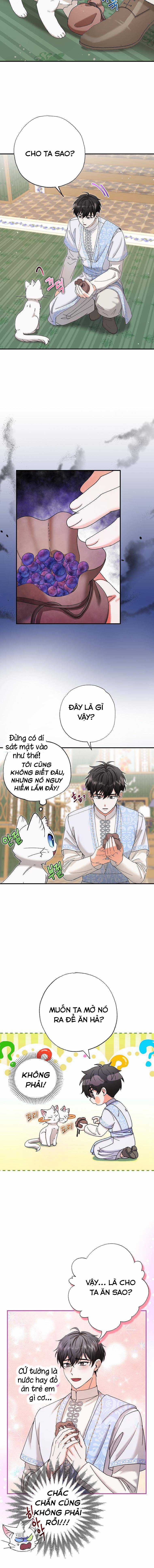 Trở Thành Miêu Nữ Của Hoàng Đế Chapter 11 trang 10