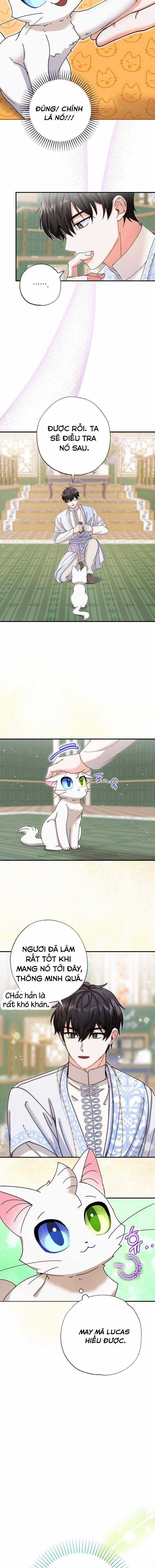 Trở Thành Miêu Nữ Của Hoàng Đế Chapter 11 trang 12