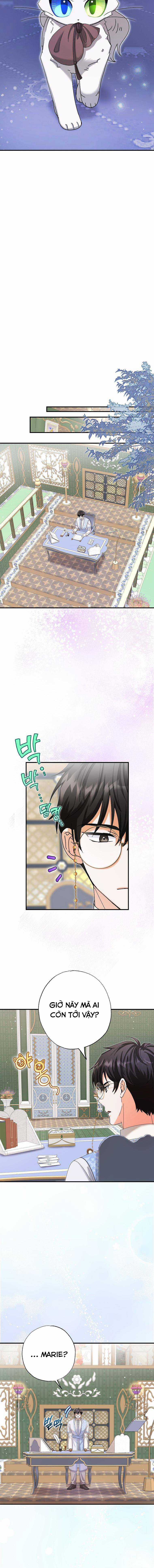 Trở Thành Miêu Nữ Của Hoàng Đế Chapter 11 trang 8