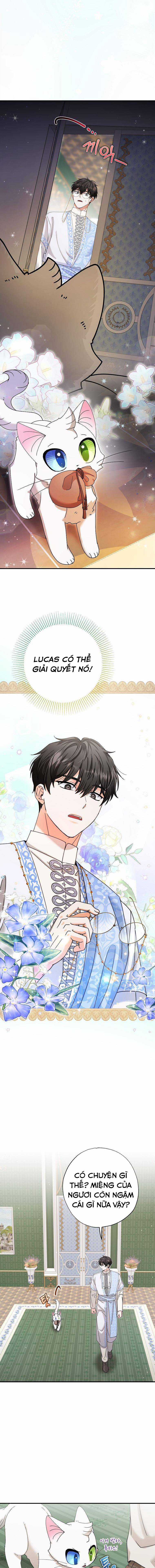 Trở Thành Miêu Nữ Của Hoàng Đế Chapter 11 trang 9