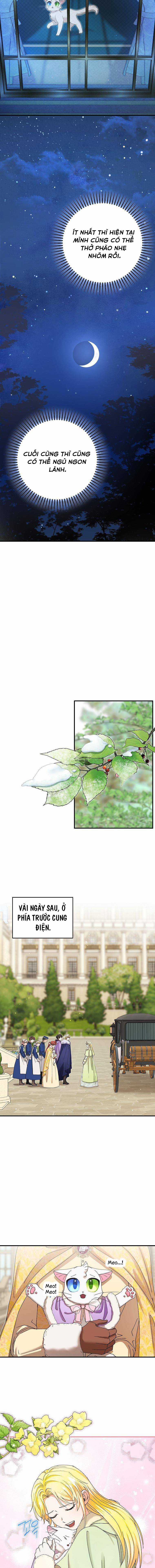 Trở Thành Miêu Nữ Của Hoàng Đế Chapter 12 trang 10