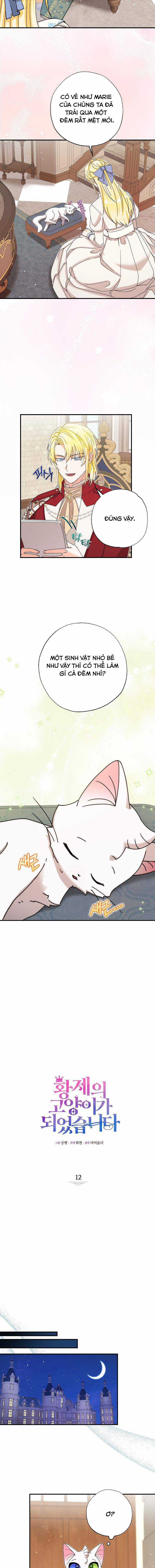 Trở Thành Miêu Nữ Của Hoàng Đế Chapter 12 trang 5