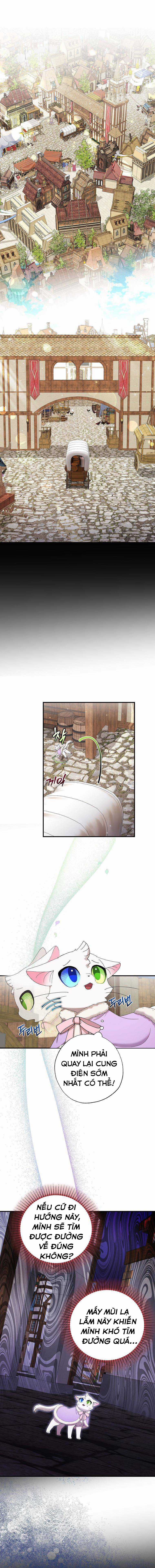 Trở Thành Miêu Nữ Của Hoàng Đế Chapter 15 trang 2