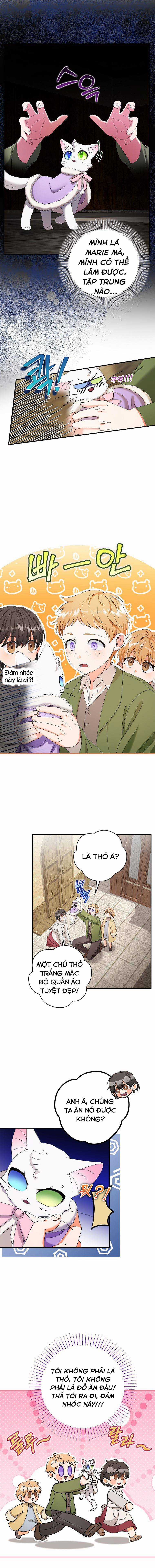 Trở Thành Miêu Nữ Của Hoàng Đế Chapter 15 trang 3