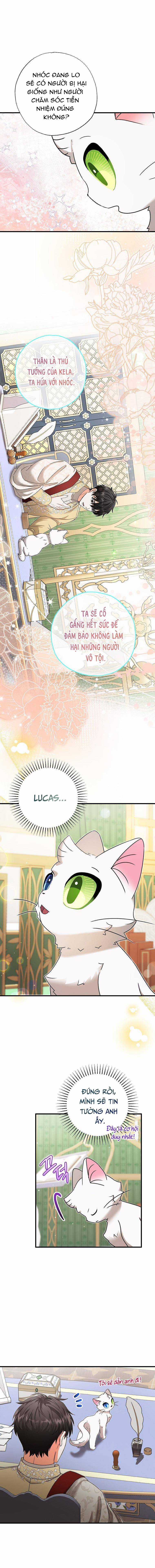 Trở Thành Miêu Nữ Của Hoàng Đế Chapter 17 trang 12