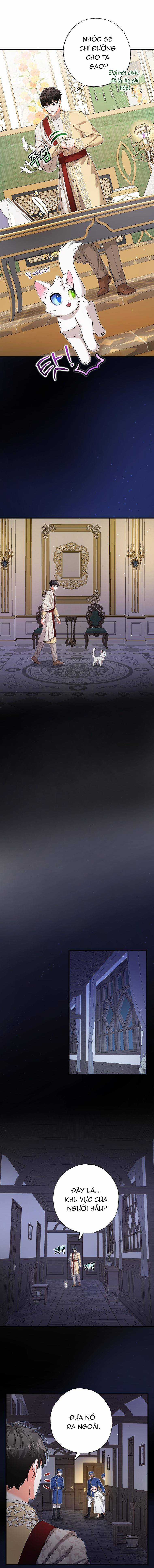 Trở Thành Miêu Nữ Của Hoàng Đế Chapter 17 trang 13