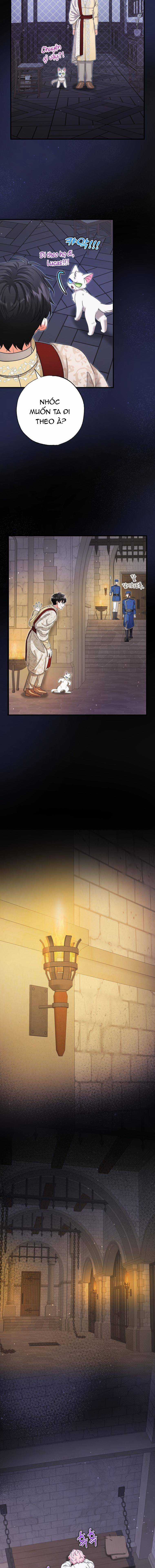 Trở Thành Miêu Nữ Của Hoàng Đế Chapter 17 trang 15