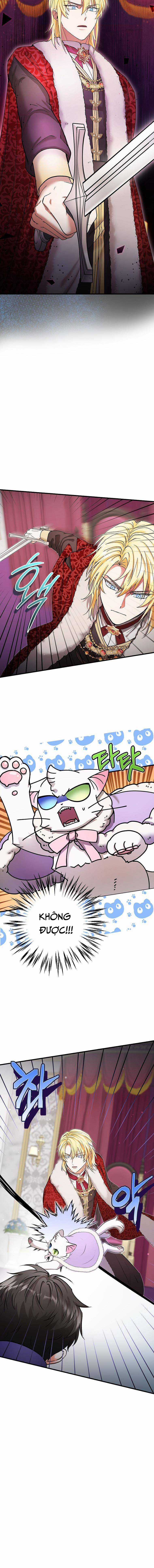 Trở Thành Miêu Nữ Của Hoàng Đế Chapter 17 trang 3