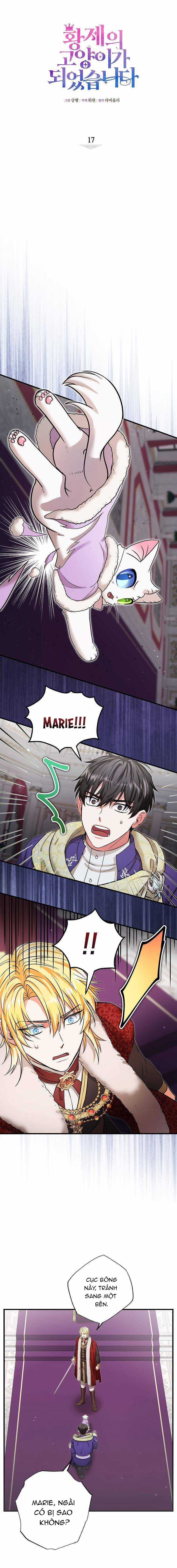 Trở Thành Miêu Nữ Của Hoàng Đế Chapter 17 trang 4