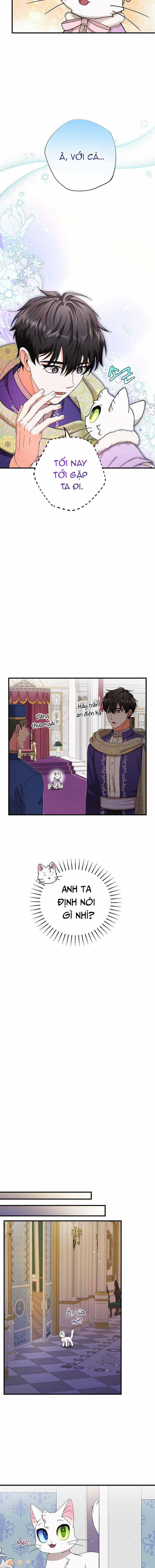 Trở Thành Miêu Nữ Của Hoàng Đế Chapter 17 trang 6