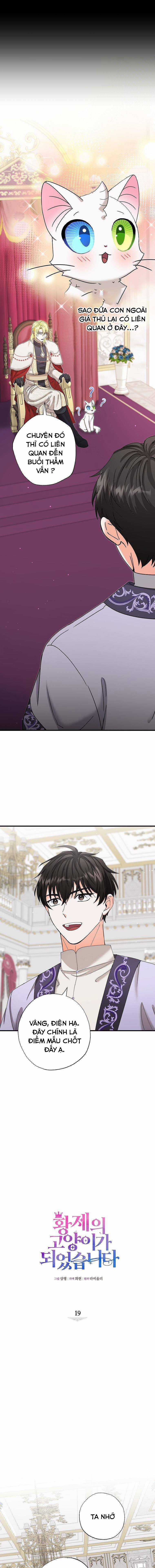 Trở Thành Miêu Nữ Của Hoàng Đế Chapter 19 trang 3