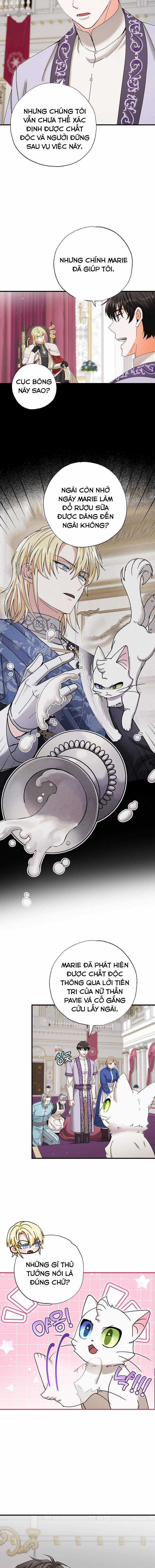 Trở Thành Miêu Nữ Của Hoàng Đế Chapter 19 trang 5